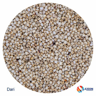 Dari - Sorghum 5 kg.