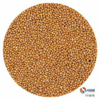 Millet geel 25 kg.