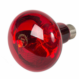 Philips Hard Glas Lamp 150 W - Rood