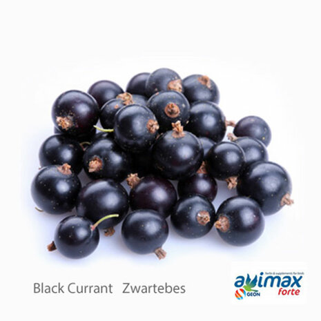 AviMax Forte Black Currant Oil