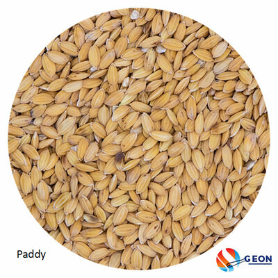 Paddy rijst ongepeld 1 kg.