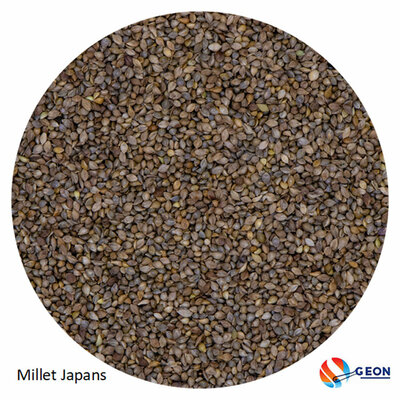 Millet Japans 1kg.